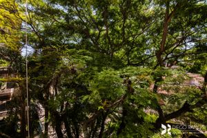 Image 12 - 187087