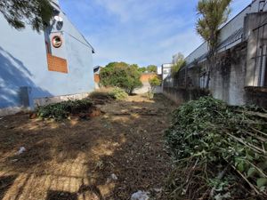 Image 5 - 187693