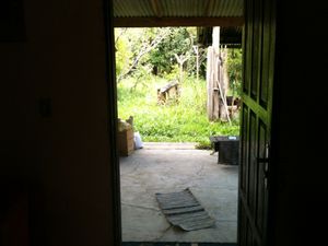 Image 13 - 187911
