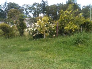 Image 15 - 187911