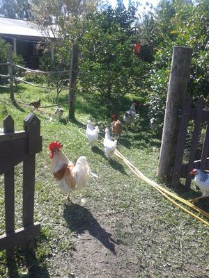 Image 9 - 187911