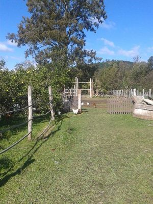 Image 10 - 187911