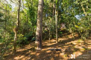 Image 5 - 188424