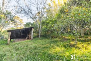 Image 42 - 188424