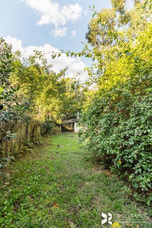 Image 43 - 188424