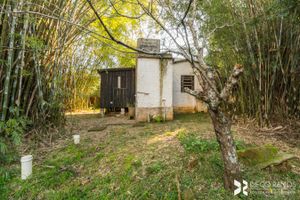 Image 45 - 188424