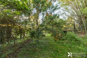 Image 46 - 188424