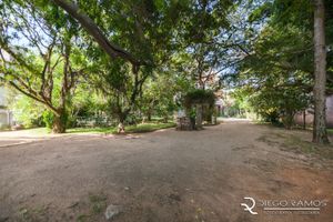 Image 35 - 189516