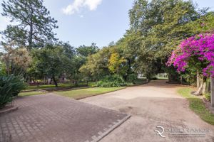 Image 38 - 189516
