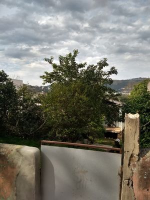 Image 0 - 189697