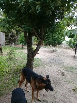Image 9 - 190440
