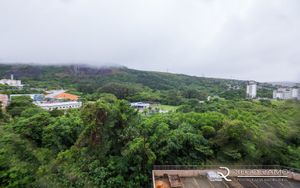 Image 5 - 191433