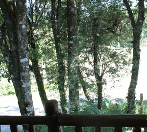 Image 7 - 191438