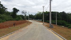 Image 7 - 192116