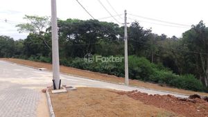 Image 8 - 192116