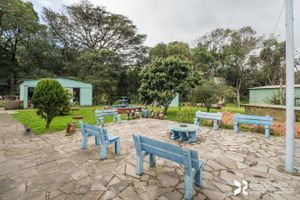 Image 32 - 192319