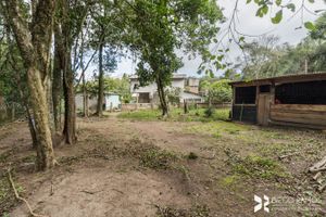 Image 37 - 192319