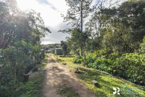 Image 61 - 192319