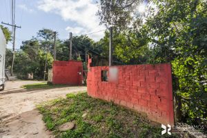Image 63 - 192319