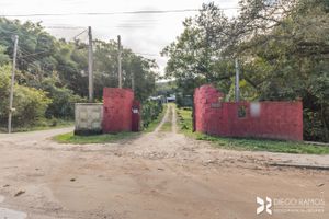 Image 64 - 192319