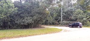Image 21 - 193287
