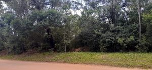 Image 18 - 193287