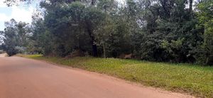Image 18 - 193295
