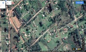 Image 17 - 193295