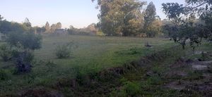 Image 7 - 193298