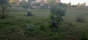 Image 6 - 193298
