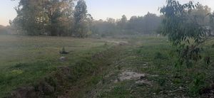 Image 8 - 193298
