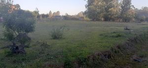 Image 10 - 193298