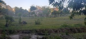 Image 9 - 193298