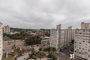 Image 10 - 193351