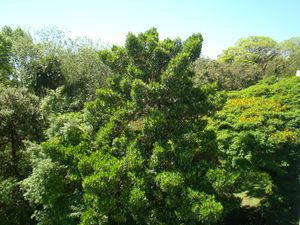 Image 19 - 193365