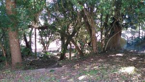 Image 8 - 193813