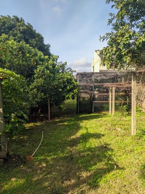 Image 1 - 193995