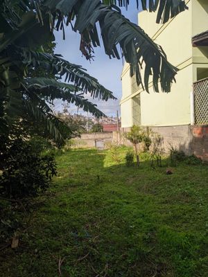 Image 0 - 193995