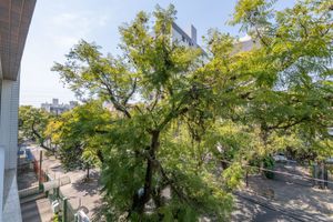Image 9 - 194406