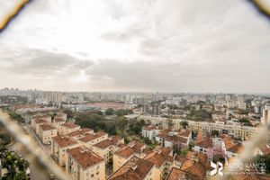 Image 19 - 194725