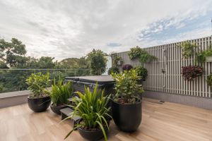 Image 24 - 195044