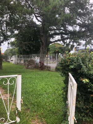 Image 13 - 195780