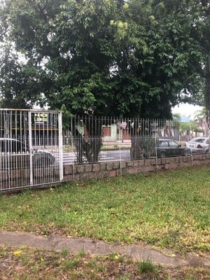 Image 8 - 195780