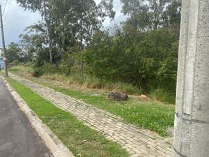 Image 7 - 195783