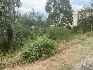 Image 8 - 195783