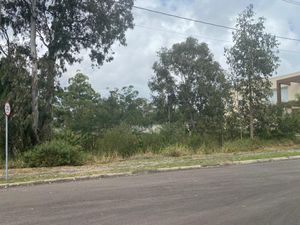 Image 9 - 195783