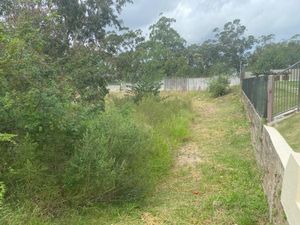 Image 10 - 195783