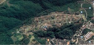 Image 4 - 195783