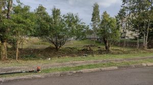 Image 13 - 195783