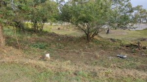 Image 14 - 195783